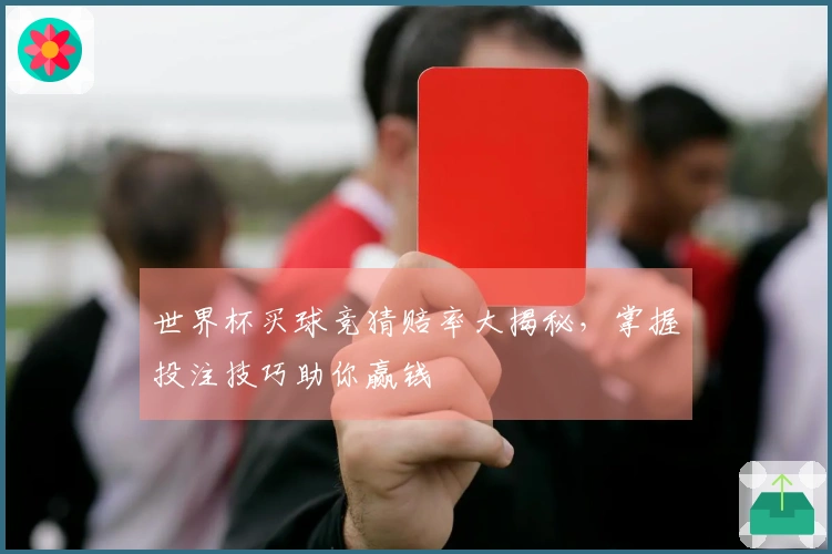 世界杯买球竞猜赔率大揭秘，掌握投注技巧助你赢钱