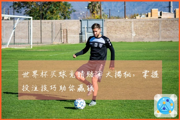 世界杯买球竞猜赔率大揭秘，掌握投注技巧助你赢钱