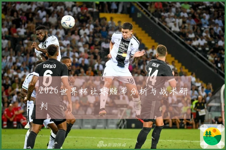 2026世界杯让球赔率分析与战术研判